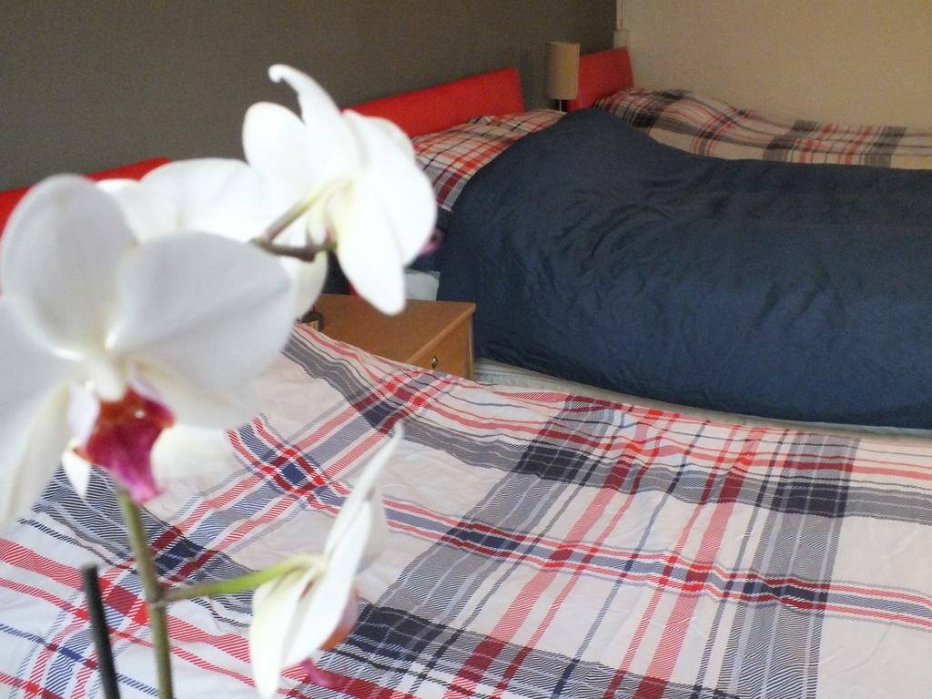 Bonna'S Bed And Breakfast บลิตธ์เวลส์ ภายนอก รูปภาพ